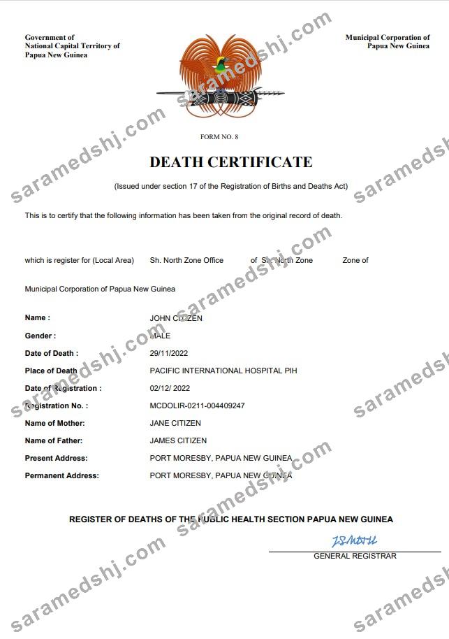 Papua New Guinea vital record death certificate Word and PDF template